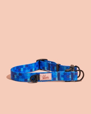 Obroża double lock HauBlue