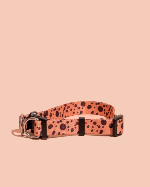 Obroża double lock PawCocoa