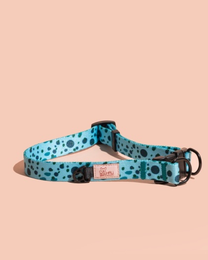 Obroża double lock PawLagoon