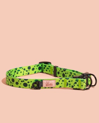 Obroża double lock PawMint