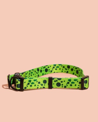 Obroża double lock PawMint