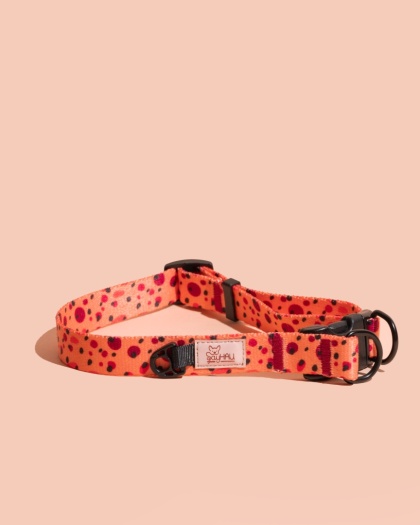 Obroża double lock PawTangerine