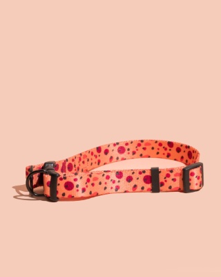 Obroża double lock PawTangerine