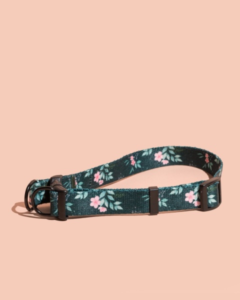 Obroża double lock PupsyBlush