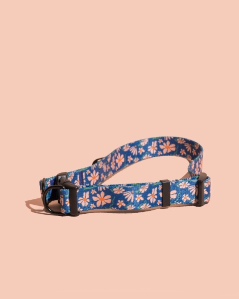 Obroża double lock PupsyFlora