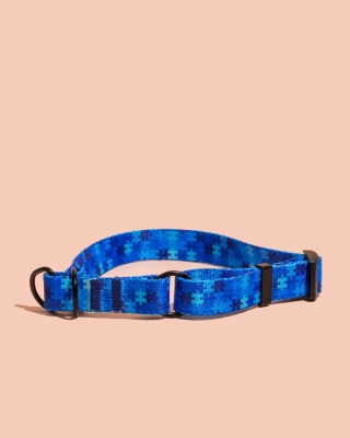 Obroża półzaciskowa HauBlue