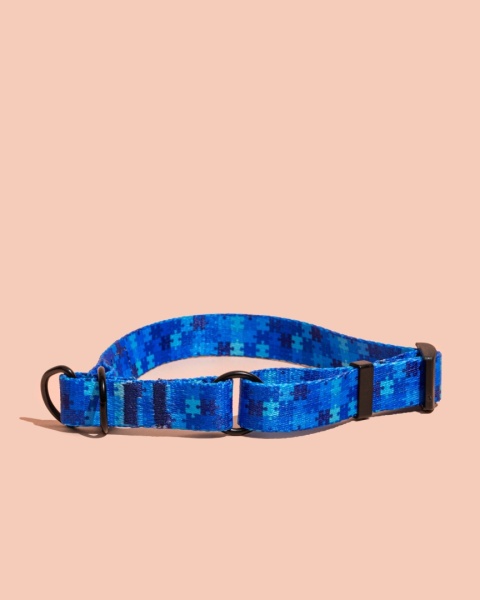 Obroża półzaciskowa HauBlue