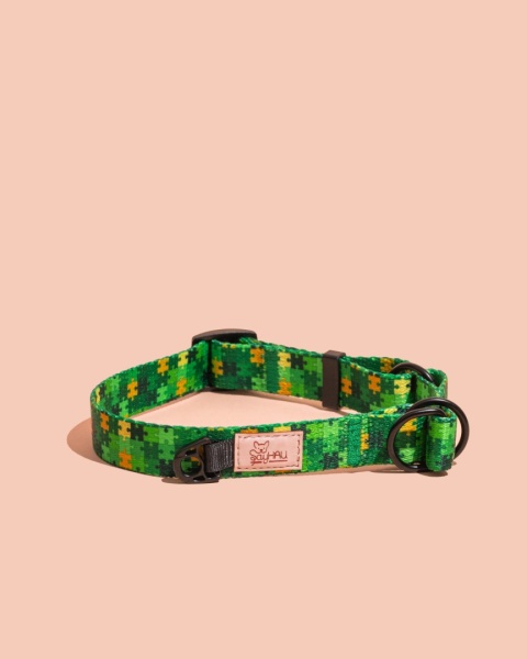 Obroża półzaciskowa HauGreen