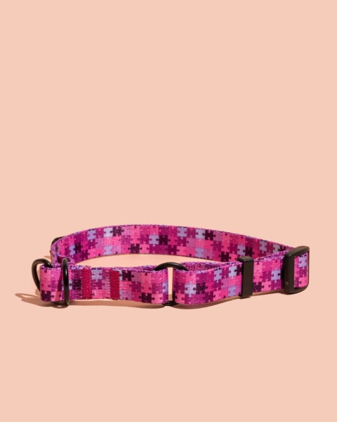 Obroża półzaciskowa HauPink