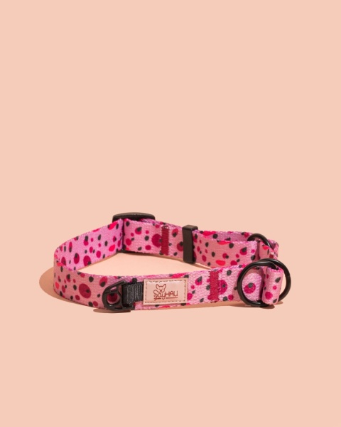 Obroża półzaciskowa PawBerry