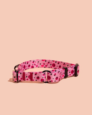 Obroża półzaciskowa PawBerry