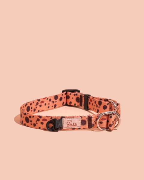 Obroża półzaciskowa PawCocoa