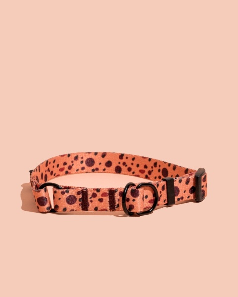 Obroża półzaciskowa PawCocoa