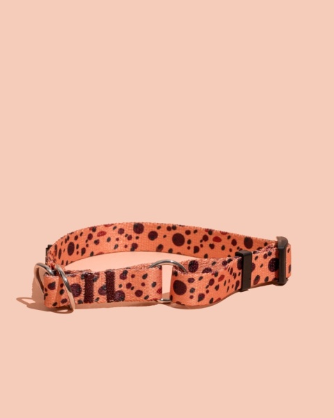 Obroża półzaciskowa PawCocoa