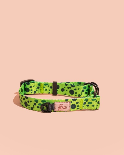 Obroża półzaciskowa PawMint