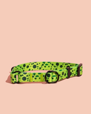 Obroża półzaciskowa PawMint