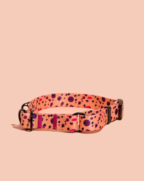 Obroża półzaciskowa PawPlum