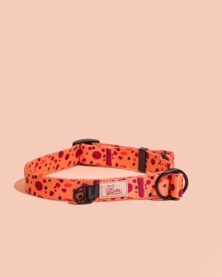 Obroża półzaciskowa PawTangerine