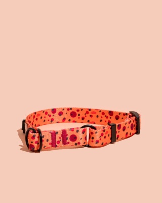 Obroża półzaciskowa PawTangerine