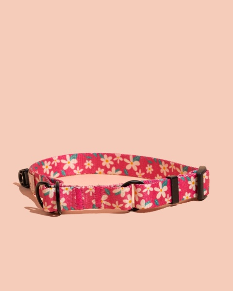 Obroża półzaciskowa PupsyBlossom