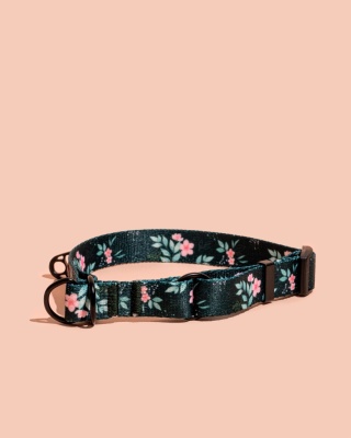 Obroża półzaciskowa PupsyBlush