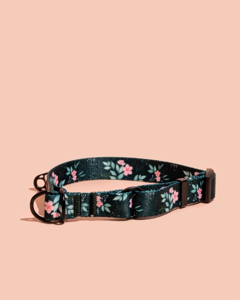 Obroża półzaciskowa PupsyBlush