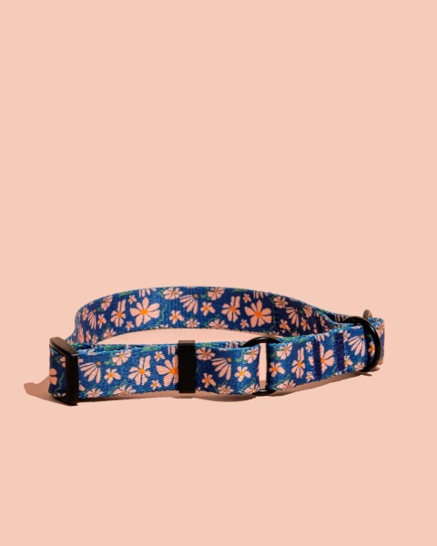 Obroża półzaciskowa PupsyFlora