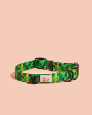 Obroża z klamrą HauGreen