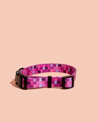 Obroża z klamrą HauPink