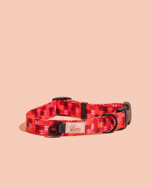 Obroża z klamrą HauRed