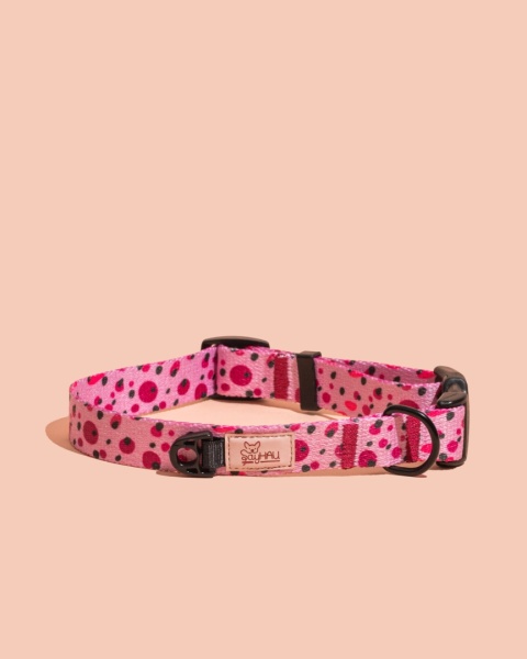 Obroża z klamrą PawBerry