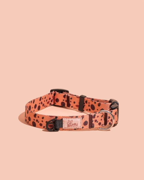 Obroża z klamrą PawCocoa