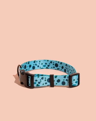 Obroża z klamrą PawLagoon