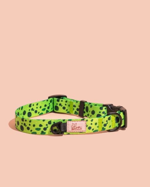 Obroża z klamrą PawMint