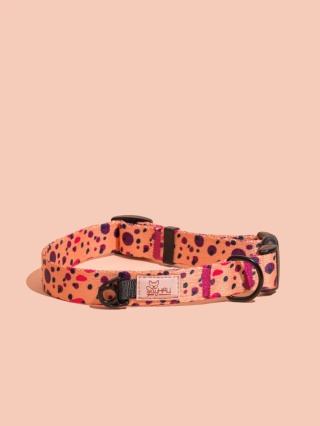 Obroża z klamrą PawPlum