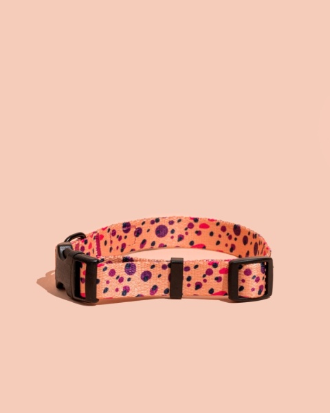 Obroża z klamrą PawPlum