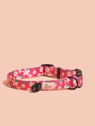 Obroża z klamrą PupsyBlossom