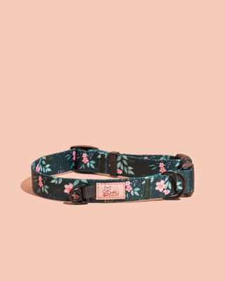 Obroża z klamrą PupsyBlush