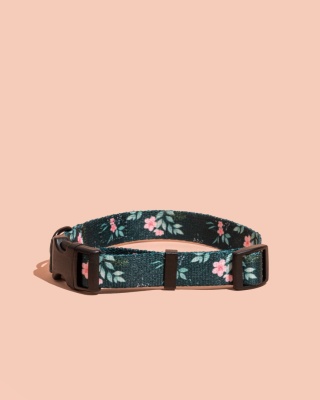 Obroża z klamrą PupsyBlush