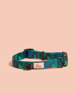 Obroża z klamrą PupsyFern