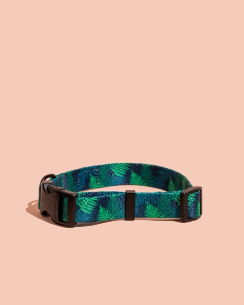 Obroża z klamrą PupsyFern