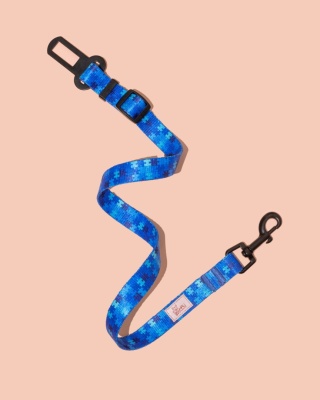 Pas bezpieczeństwa HauBlue