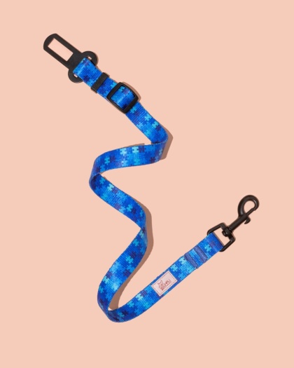 Pas bezpieczeństwa HauBlue