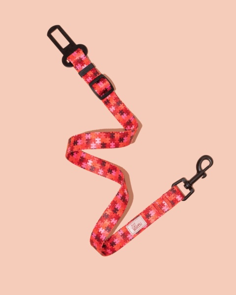 Pas bezpieczeństwa HauRed