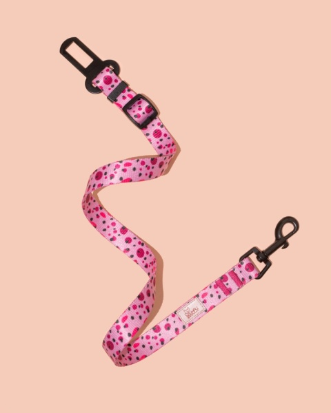 Pas bezpieczeństwa PawBerry