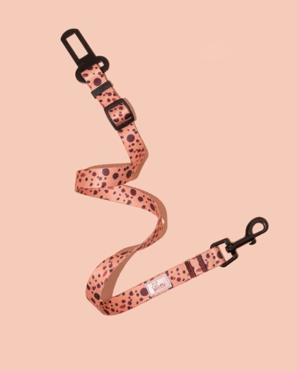 Pas bezpieczeństwa PawCocoa