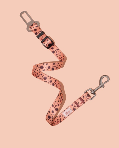 Pas bezpieczeństwa PawCocoa