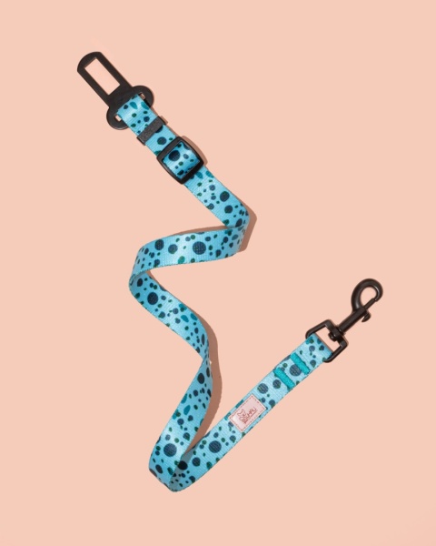 Pas bezpieczeństwa PawLagoon