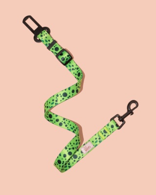 Pas bezpieczeństwa PawMint