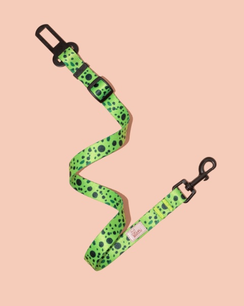 Pas bezpieczeństwa PawMint